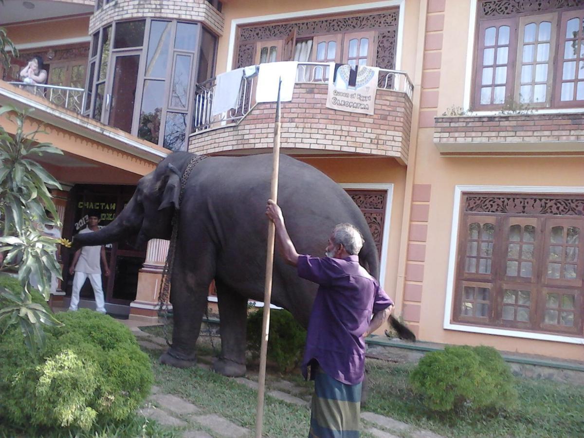 Mount House Hotel Apartment Dikwella Sur Exterior foto